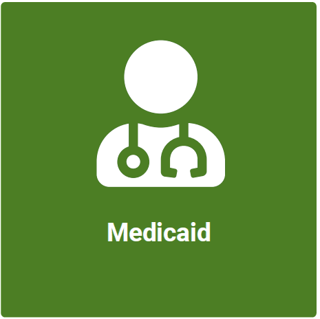 Medicaid icon